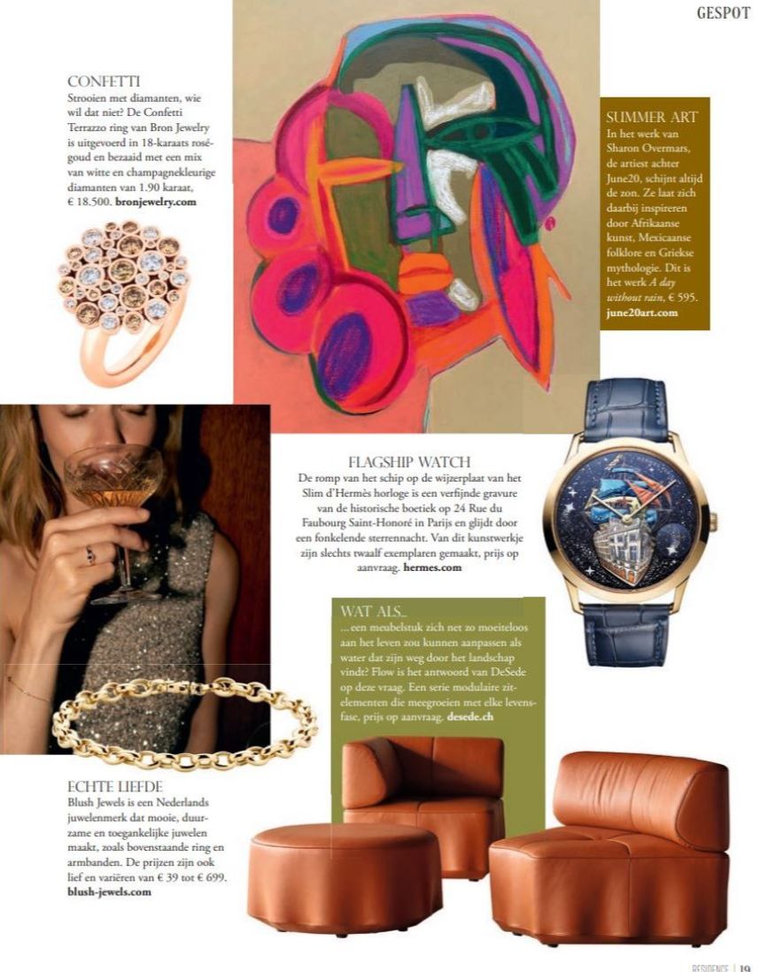 de Sede ds-808 su Residence.nl